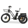 Go Bike FORTE Electric Tricycle black Left side view