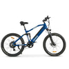 Go Bike ROBUSTO Electric Mountain Bike Blue right side view
