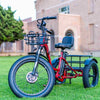 Emojo Caddy Pro Electric Trike front view