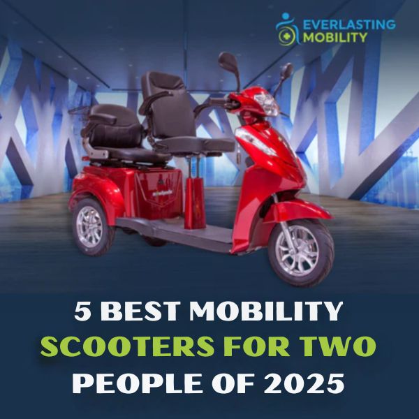  Best Mobility Scooters for Two People  Article