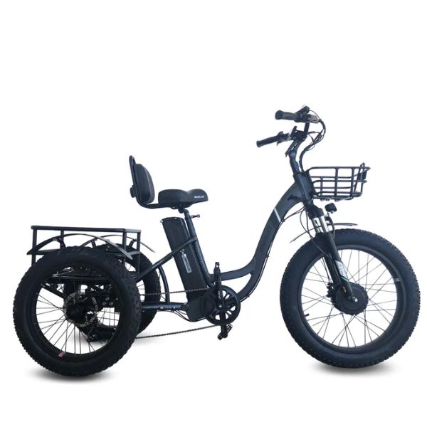 Emojo Caddy Pro Electric Trike Black