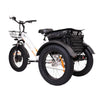 DWMEIGI MG1703 Black - Zeus 3 Wheel Fat Tire Electric Trike Rear View With The Basket And Waterproof Bag