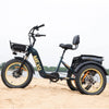 DWMEIGI MG2301 Green Silverado-HD Fat Tire Electric Trike Left Side View on Sandy Terrain
