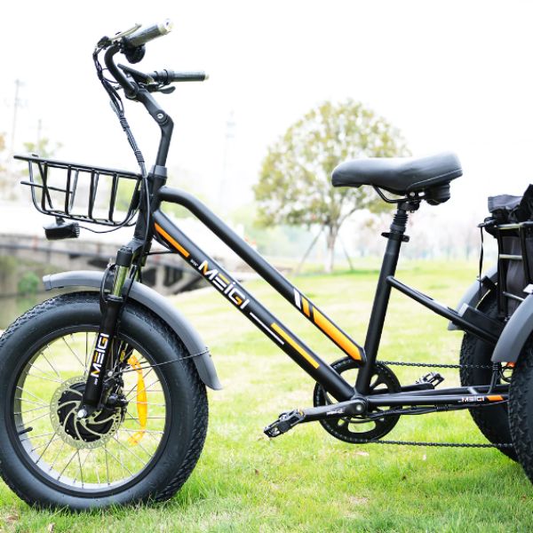 DWMEIGI MG1703 Zeus Electric Trike Low Step Frame Close Up View