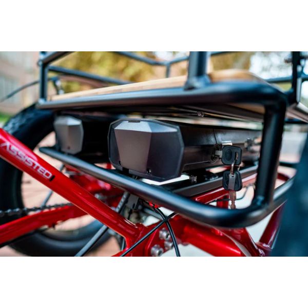 Emojo Bison Pro taillight view