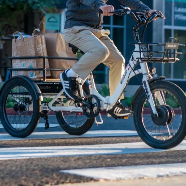 Emojo Bison S frame with basket