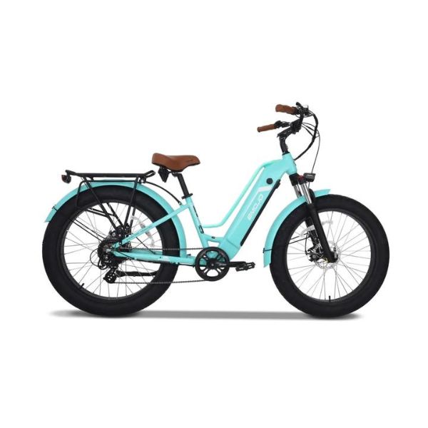 Emojo Breeze Pro E-bike green 750w