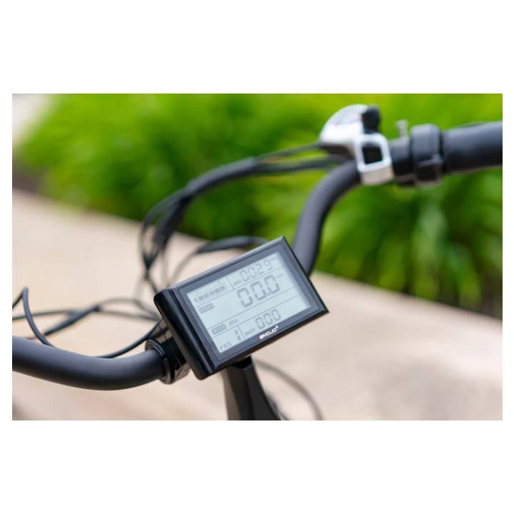 Emojo Bull Electric Trike LCD display view