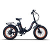 Emojo Ram SS e-bike color black