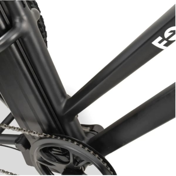 Go Bike FORTE Electric Tricycle Gear