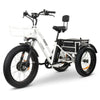Go Bike FORTE Electric Tricycle Front left view