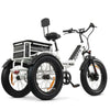 Go Bike Forza Electric Tricycle White Rear Right View
