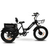 Go Bike Forza Electric Tricycle Black right side view
