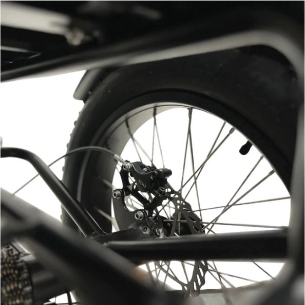 Go Bike Forza Electric Tricycle Tire and Brakes