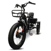 Go Bike Forza Electric Tricycle Front View