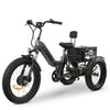 Go Bike Forza Electric Tricycle Black front left view