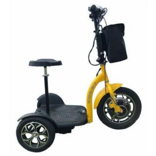 RMB EV Multi-Point 48v 500W 3 Wheel Electric Scooter