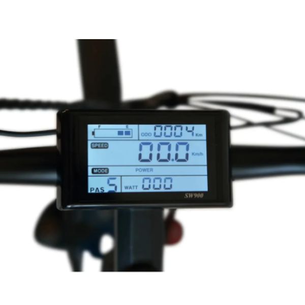 Go Bike ROBUSTO Electric Mountain Bike LCD display