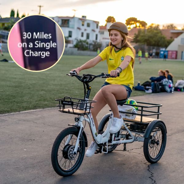 White Emojo Bison S e-trike