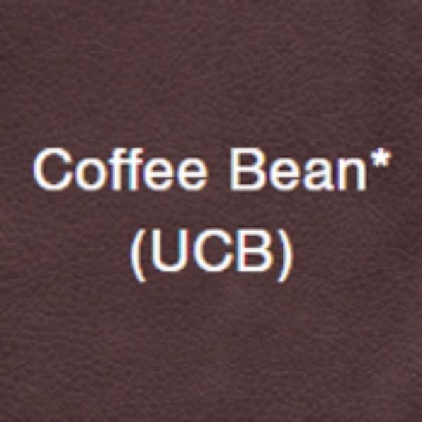 Golden Technologies EZ Sleeper W Twilight PR761-MLA Maxi Comfort Lift Recliner Coffee Bean