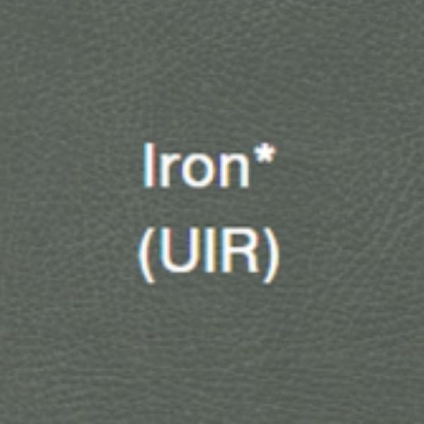 Golden Technologies EZ Sleeper W Twilight PR761-MLA Maxi Comfort Lift Recliner Iron