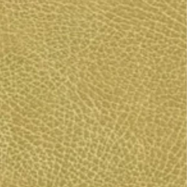 Golden Technologies PR-515 MaxiComfort Cloud Twilight Bucksin Brisa