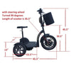 RMB EV Multi-Point 48v 500W 3 Wheel Electric Scooter Right Side View