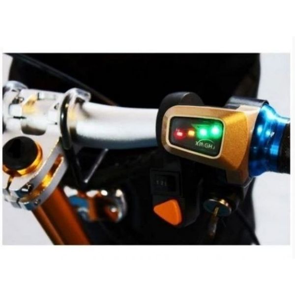 Triaxe Sport Scooter Dashboard View