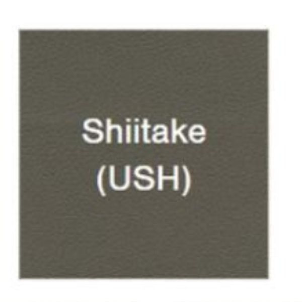 Golden Technologies EZ Sleeper W/ Twilight PR761 Maxi Comfort Lift Recliner